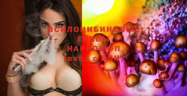 Альфа ПВП Арсеньев